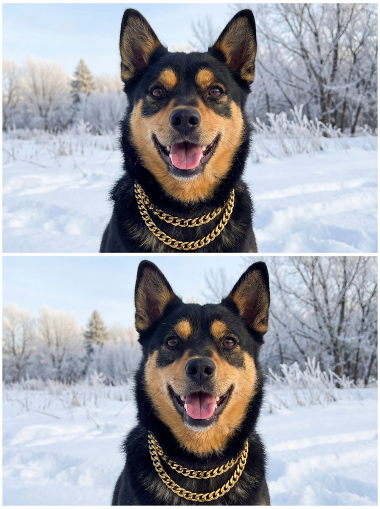 Winter collage for pitomca AI effect result example 1